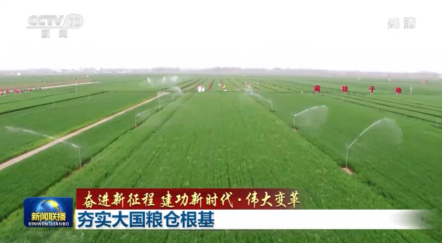 【奮進(jìn)新征程 建功新時(shí)代·偉大變革】夯實(shí)大國(guó)糧倉根基