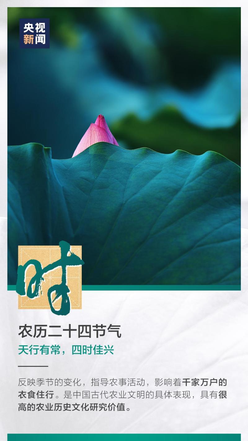 這也太浪漫了吧！