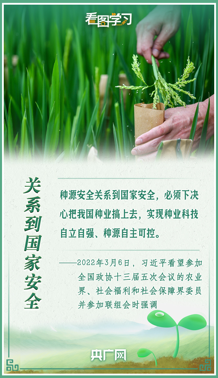 看圖學(xué)習(xí)|牢記總書(shū)記叮囑 攥緊種子端牢飯碗