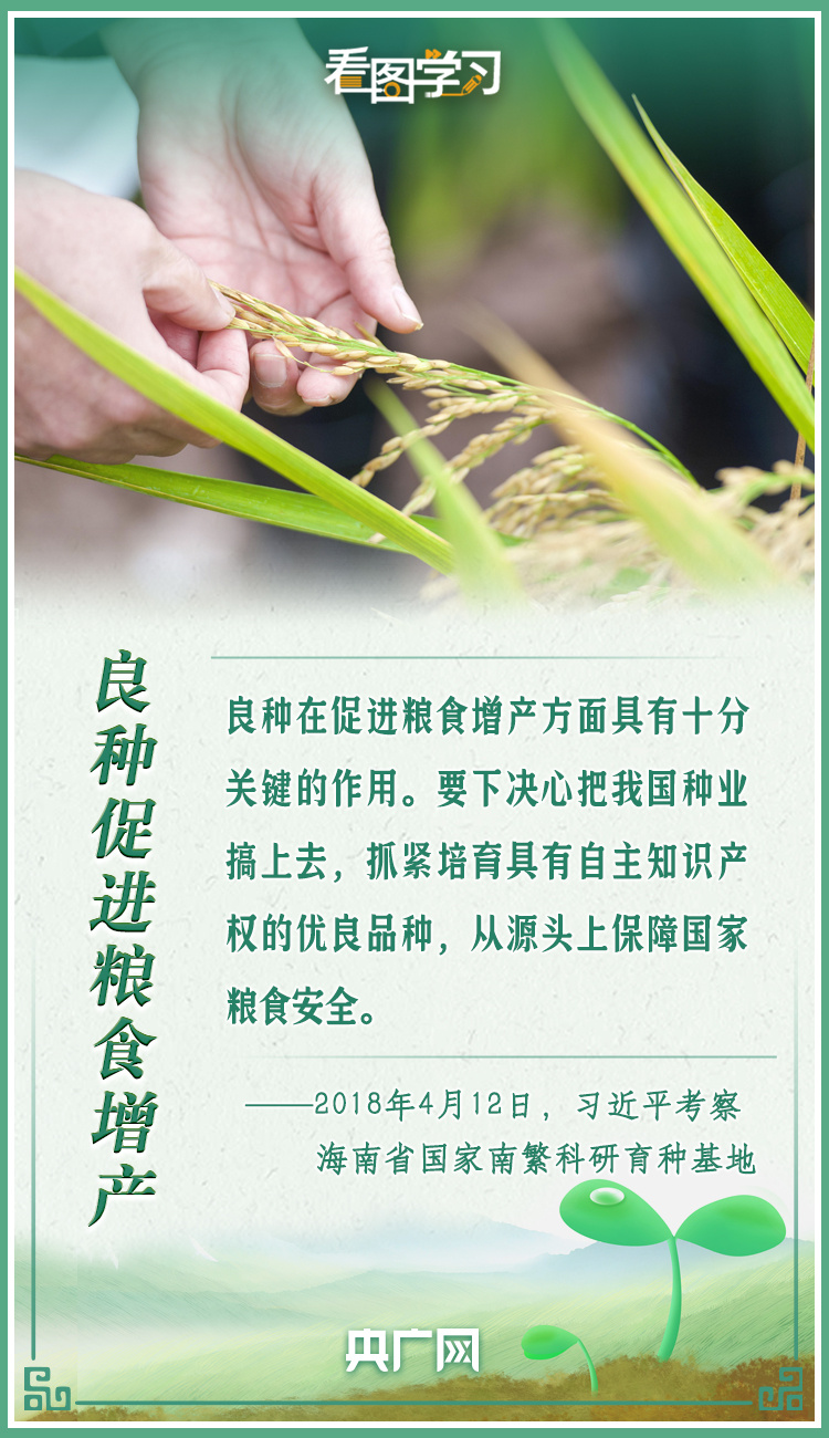 看圖學(xué)習(xí)|牢記總書(shū)記叮囑 攥緊種子端牢飯碗