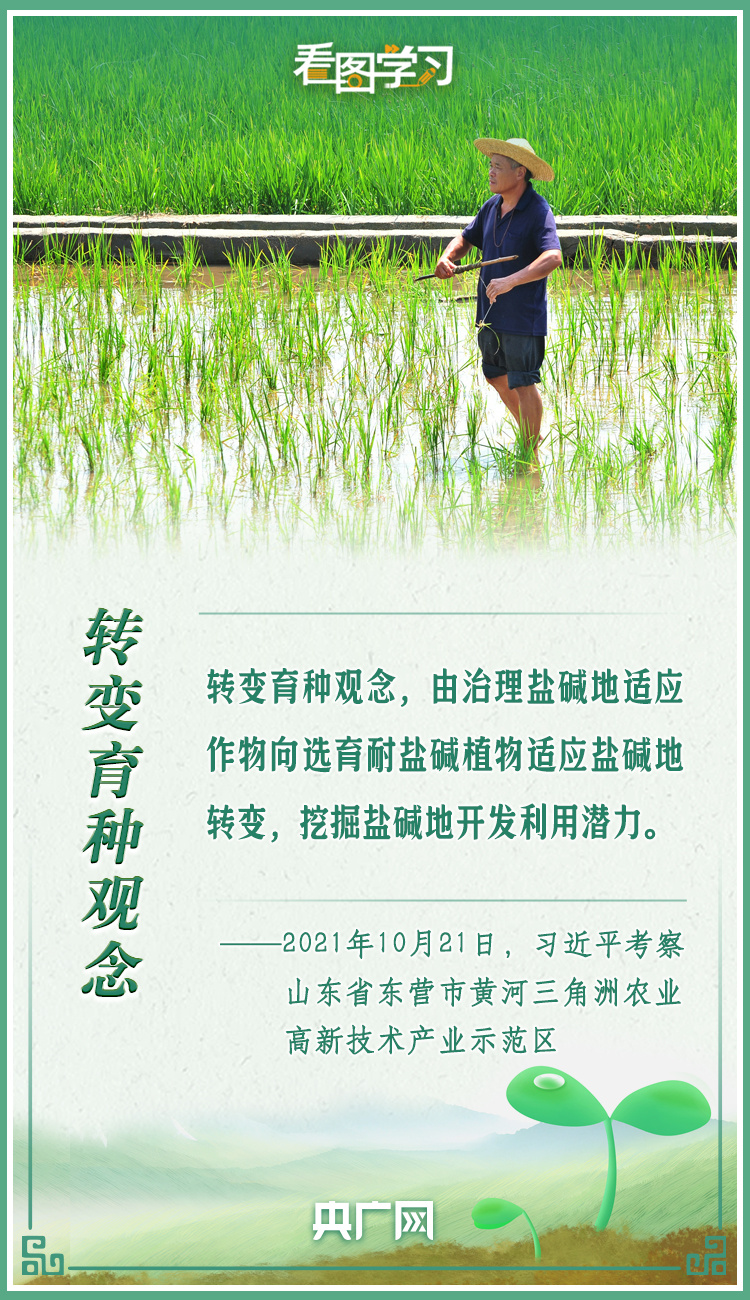 看圖學(xué)習(xí)|牢記總書(shū)記叮囑 攥緊種子端牢飯碗