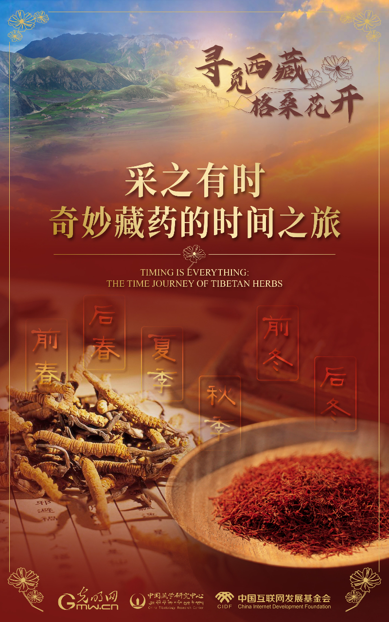 【尋覓西藏·格?；ㄩ_(kāi)】采之有時(shí)：奇妙藏藥的時(shí)間之旅