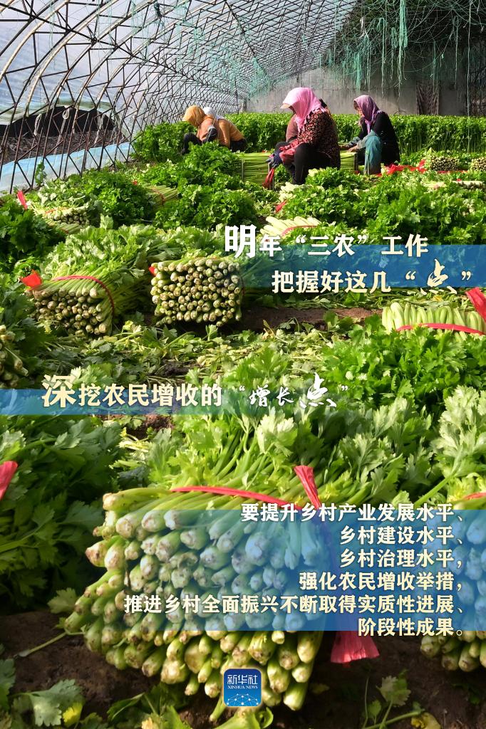 明年“三農”工作，這幾個“點”要把握好