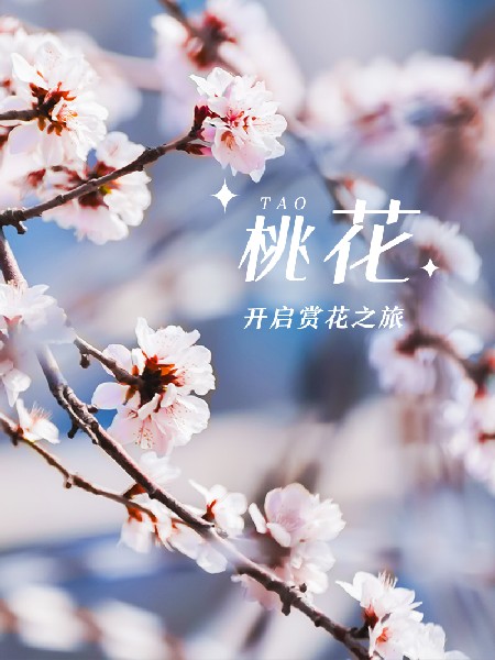 追花指南第三期！別等了 今天就去和桃花撞個滿懷