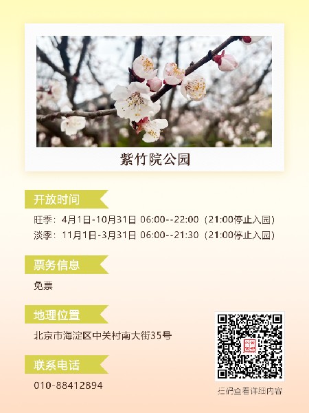 追花指南第六期！杏花雨 楊柳風(fēng) 北京最美的杏花在這里