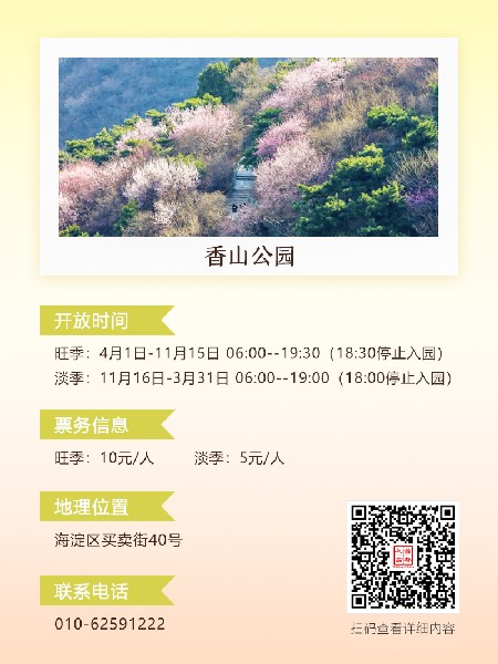 追花指南第六期！杏花雨 楊柳風(fēng) 北京最美的杏花在這里