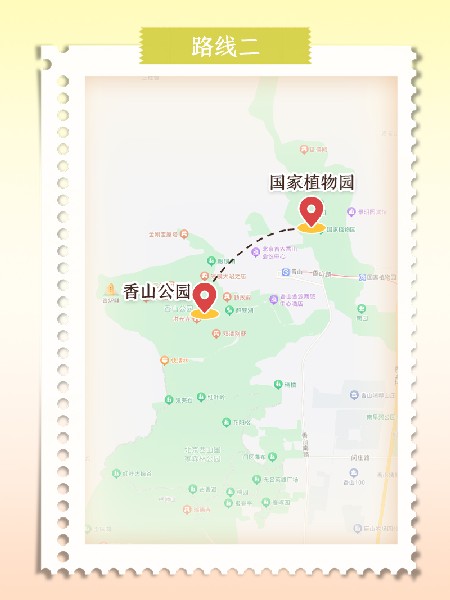 追花指南第六期！杏花雨 楊柳風(fēng) 北京最美的杏花在這里