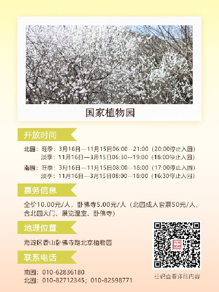 追花指南第六期！杏花雨 楊柳風(fēng) 北京最美的杏花在這里