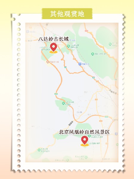 追花指南第六期！杏花雨 楊柳風(fēng) 北京最美的杏花在這里