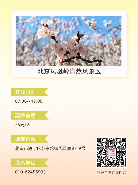 追花指南第六期！杏花雨 楊柳風(fēng) 北京最美的杏花在這里