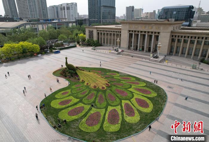 圖為航拍花壇。(無人機(jī)照片) 翟羽佳 攝