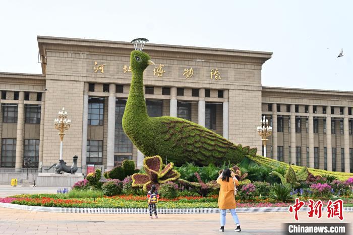 圖為游客在花壇前拍照打卡?！〉杂鸺?攝