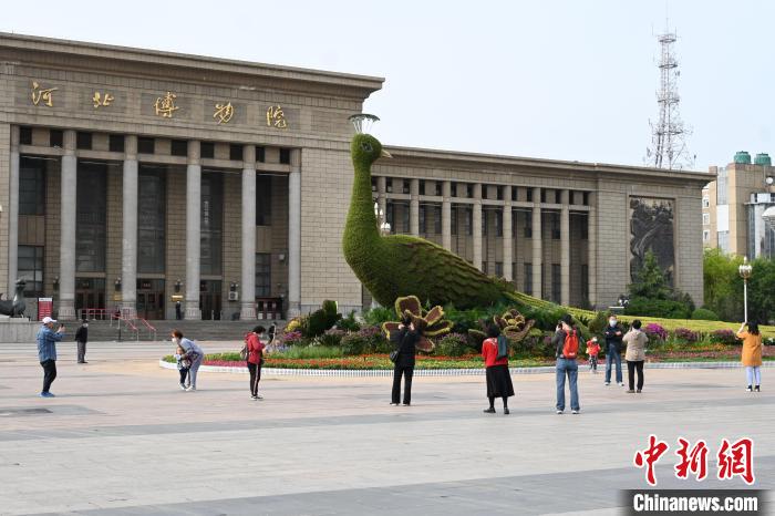 圖為游客在花壇前拍照打卡?！〉杂鸺?攝