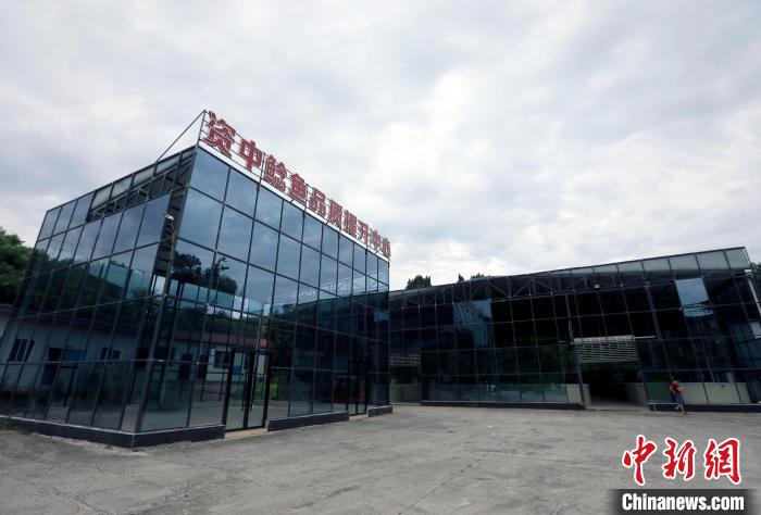 四川資中：“中國(guó)鯰魚(yú)之鄉(xiāng)”鯰魚(yú)游出致富路