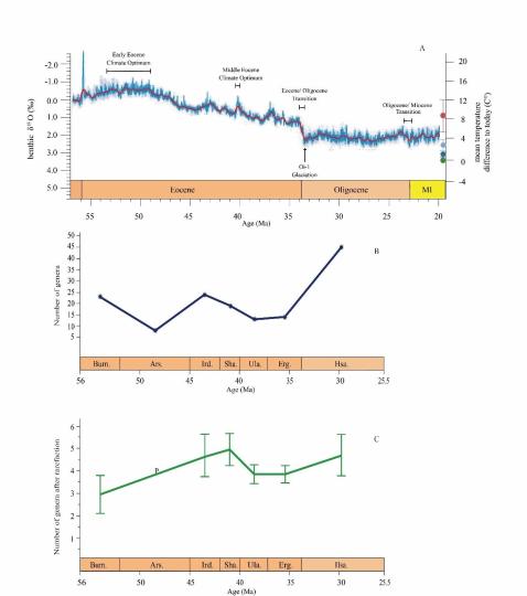 早始新世至早漸新世東亞嚙齒類(lèi)屬級(jí)多樣性變化?！≈锌圃汗偶棺邓?供圖
