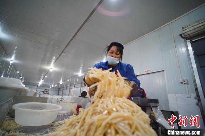 圖為一名工人正在處理切成條狀后的酸筍?！№f國政 攝