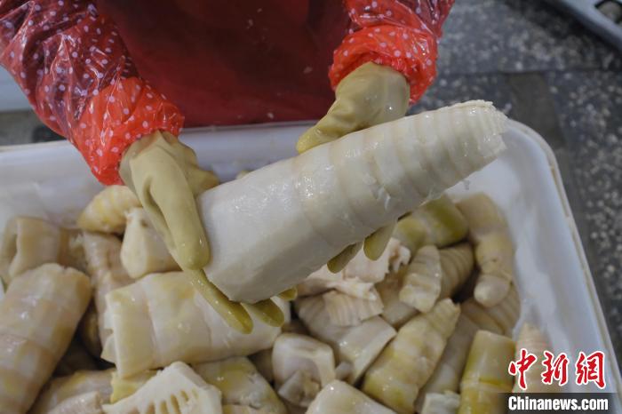 圖為整根腌制后撈出的酸筍?！⒖÷?攝