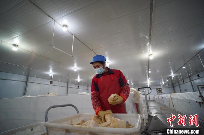 圖為一名工人正在查看酸筍腌制效果?！№f國政 攝