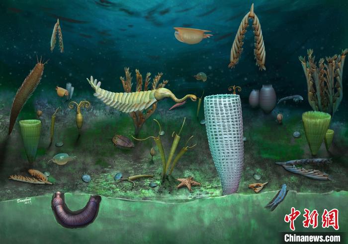 Castle Bank動(dòng)物群藝術(shù)復(fù)原圖(Yang Dinghua繪制)?！∈┢樟指瘛ぷ匀?供圖