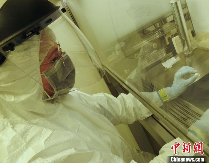 Elena Essel在凈室中處理鹿牙墜飾(圖片來自馬克斯·普朗克演化人類學(xué)研究所)。　施普林格·自然 供圖