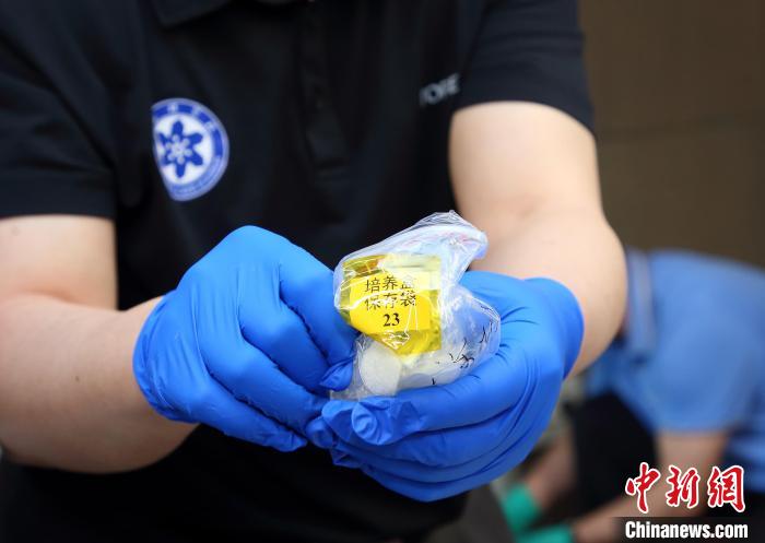 隨神舟十五號返回地面的空間科學(xué)實驗樣品?！≈锌圃嚎臻g應(yīng)用中心 供圖