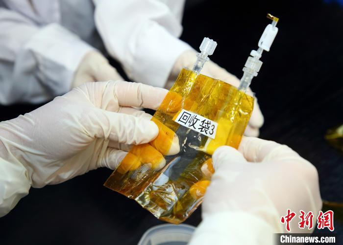 隨神舟十五號返回地面的空間科學(xué)實驗樣品?！≈锌圃嚎臻g應(yīng)用中心 供圖