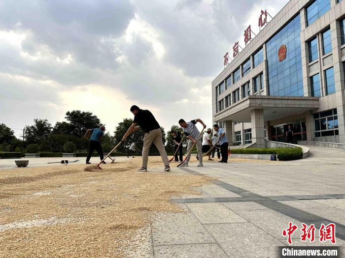 平原縣組織志愿者幫助農(nóng)民晾曬小麥?！垈?攝