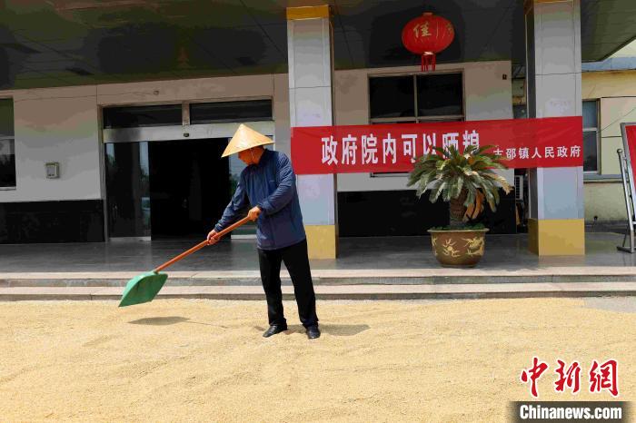 村民在棗莊市嶧城區(qū)古邵鎮(zhèn)政府大院內(nèi)晾曬糧食?！『?　攝