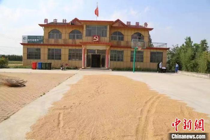 農(nóng)民在邳莊鎮(zhèn)尚莊村黨群服務(wù)中心大院里曬糧?！≠Z萌 攝