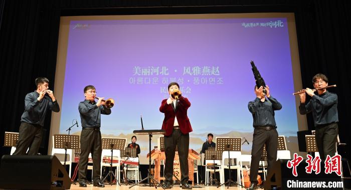 圖為音樂會現(xiàn)場?！∈谞栔袊幕行墓﹫D