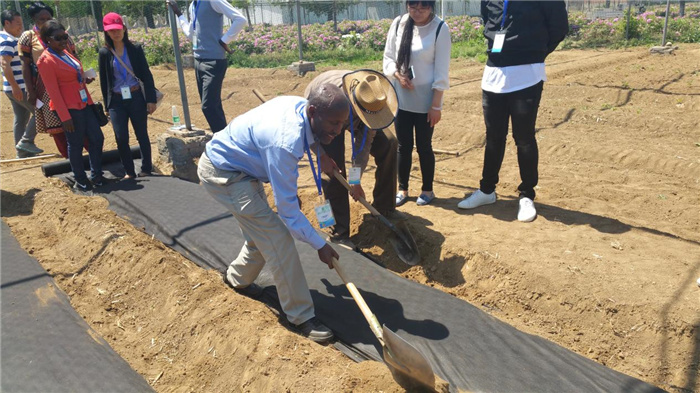 孫釗現(xiàn)場指導(dǎo)農(nóng)民耕種。受訪者供圖