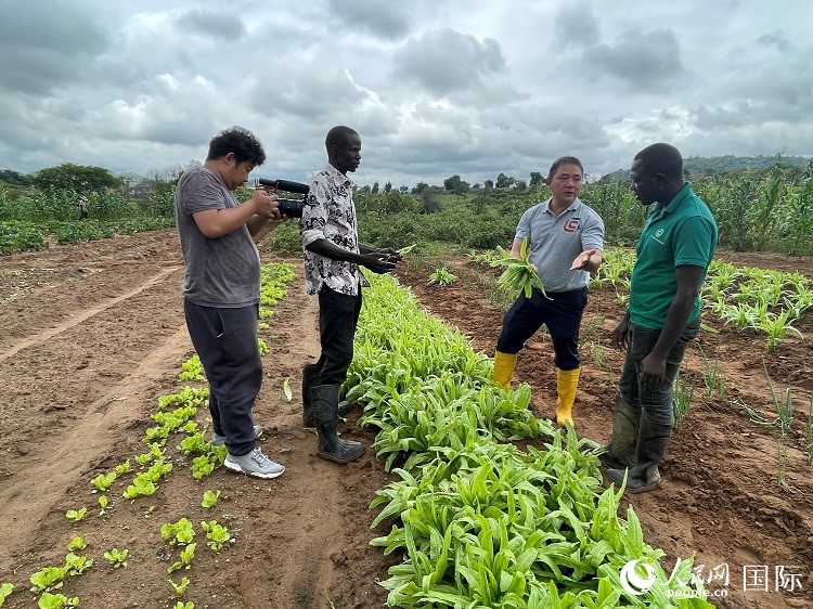 人民網(wǎng)記者走進(jìn)尼日利亞農(nóng)業(yè)技術(shù)示范中心。人民網(wǎng)記者 趙艷紅攝