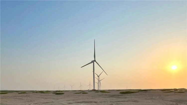 圖為阿聯(lián)酋風(fēng)電示范項(xiàng)目在阿布扎比薩爾巴尼亞斯島上的風(fēng)電場(chǎng)。 中國電建供圖