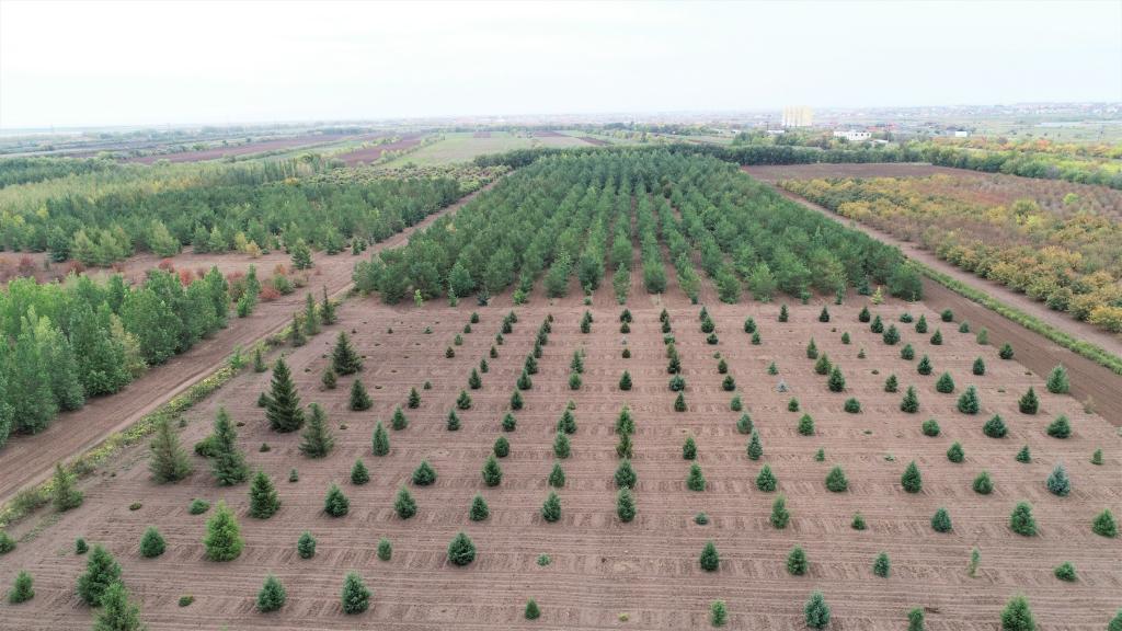 這是2023年9月11日在哈薩克斯坦首都阿斯塔納拍攝的一處植物種質(zhì)資源苗圃（無人機照片）。新華社發(fā)（法爾哈特·圖克諾夫 攝）