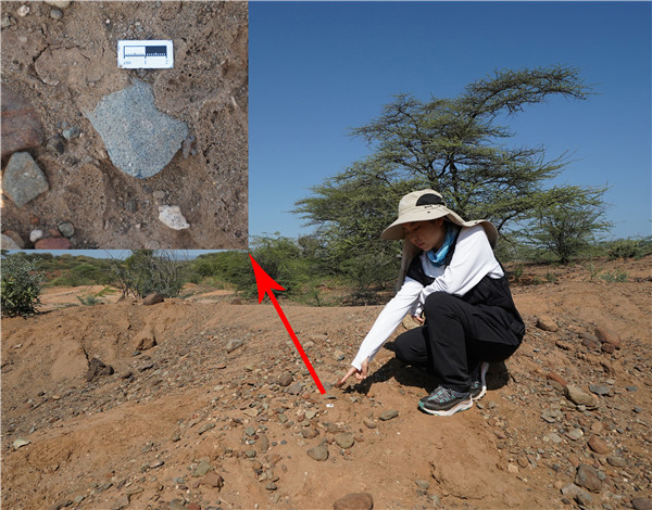 地層中的勒瓦婁哇石片。中肯聯(lián)合考古隊(duì)供圖