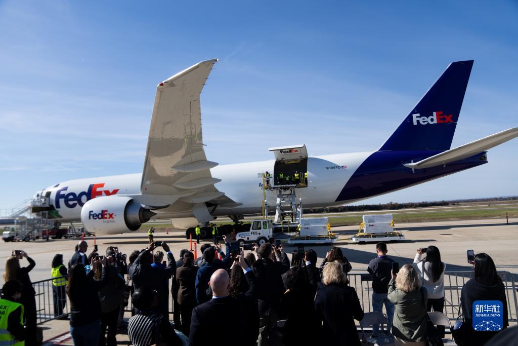 11月8日，在美國弗吉尼亞州的華盛頓杜勒斯國際機場，裝有大熊貓的特制“旅行包廂”準備運上專機。新華社記者劉杰攝