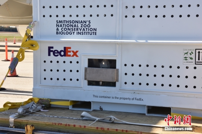 當(dāng)?shù)貢r間11月8日，美國華盛頓史密森學(xué)會國家動物園的大熊貓“美香”“添添”和它們的幼崽“小奇跡”乘坐的專機(jī)從華盛頓杜勒斯國際機(jī)場起飛前往中國成都。圖為裝有大熊貓的特制“旅行箱”。<a target='_blank' href='/'><p  align=