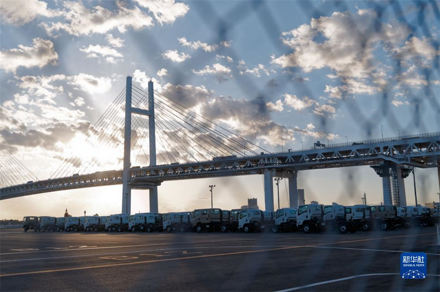 這是11月14日在日本橫濱拍攝的進(jìn)出口汽車集散場(chǎng)地。新華社記者 張笑宇 攝