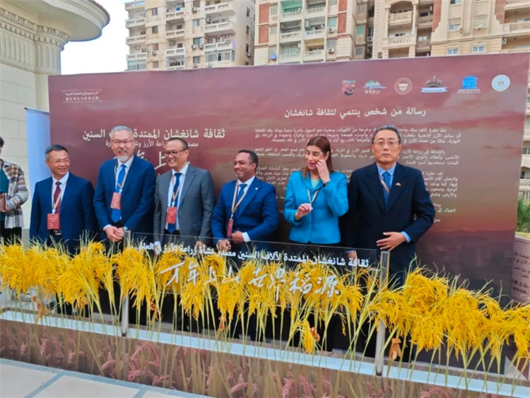 圖為現(xiàn)場(chǎng)嘉賓為特展啟幕。開羅中國(guó)文化中心供圖