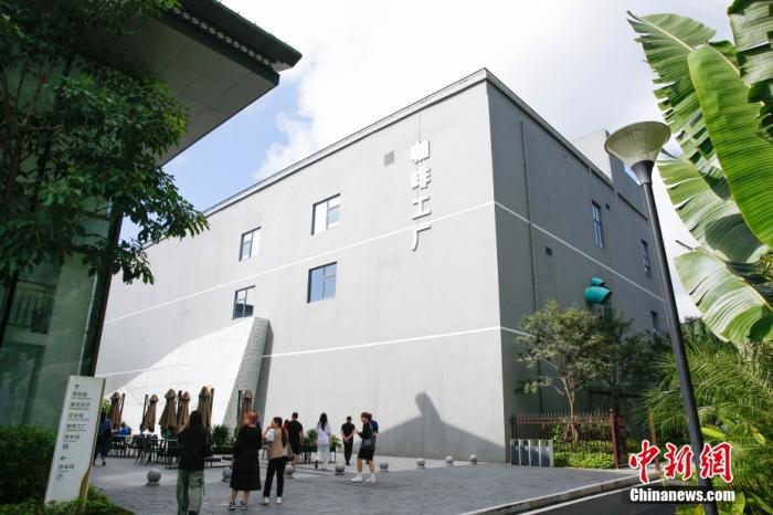 圖為采訪團一行參觀咖啡工廠。 曹淼欣 攝