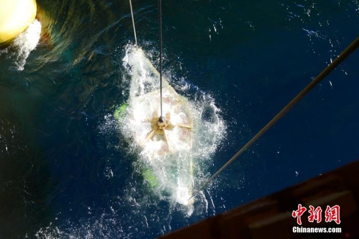 機(jī)器人入水瞬間。<a target='_blank' href='/' _fcksavedurl='/' ><p  align=