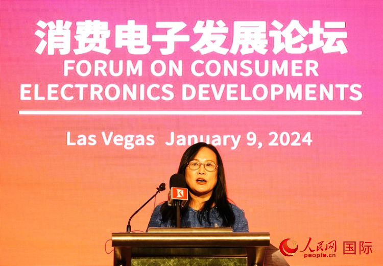 中國(guó)機(jī)電產(chǎn)品進(jìn)出口商會(huì)副會(huì)長(zhǎng)劉春致辭。人民網(wǎng)記者 鄧圩攝