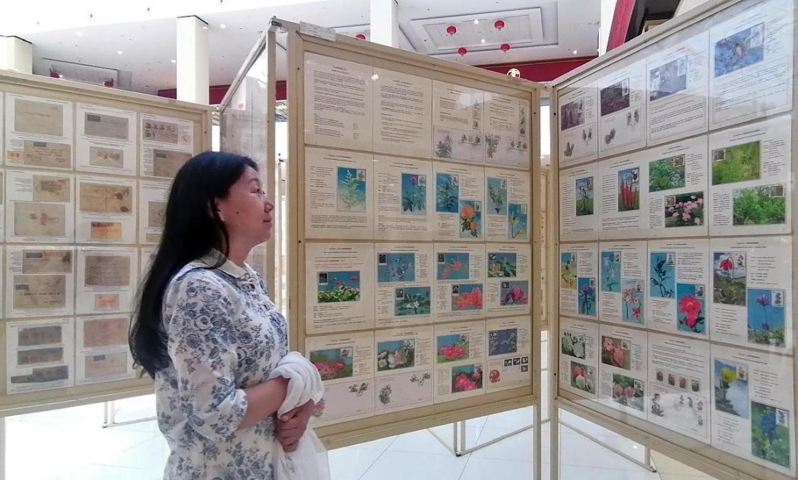 藥用植物極限片展覽場景。第七屆阿聯(lián)酋集郵展主辦方供圖