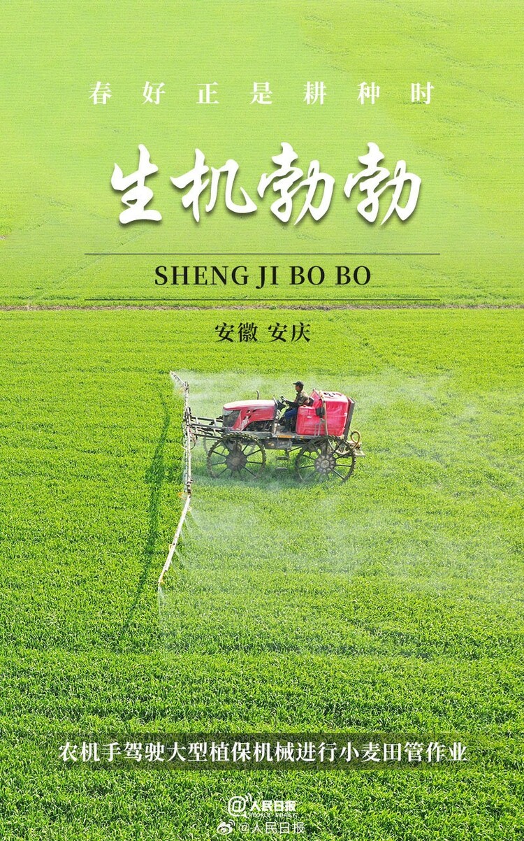 生機(jī)盎然！用課本封面打開春耕畫卷