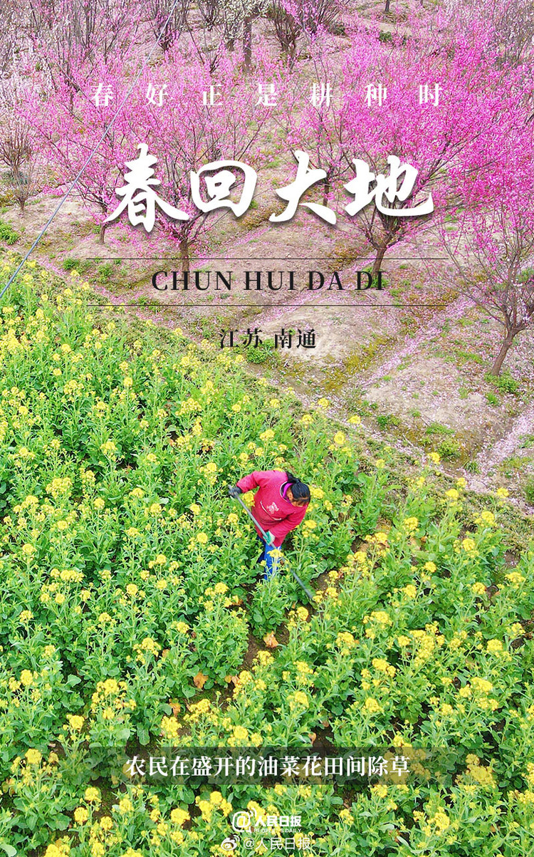 生機(jī)盎然！用課本封面打開春耕畫卷