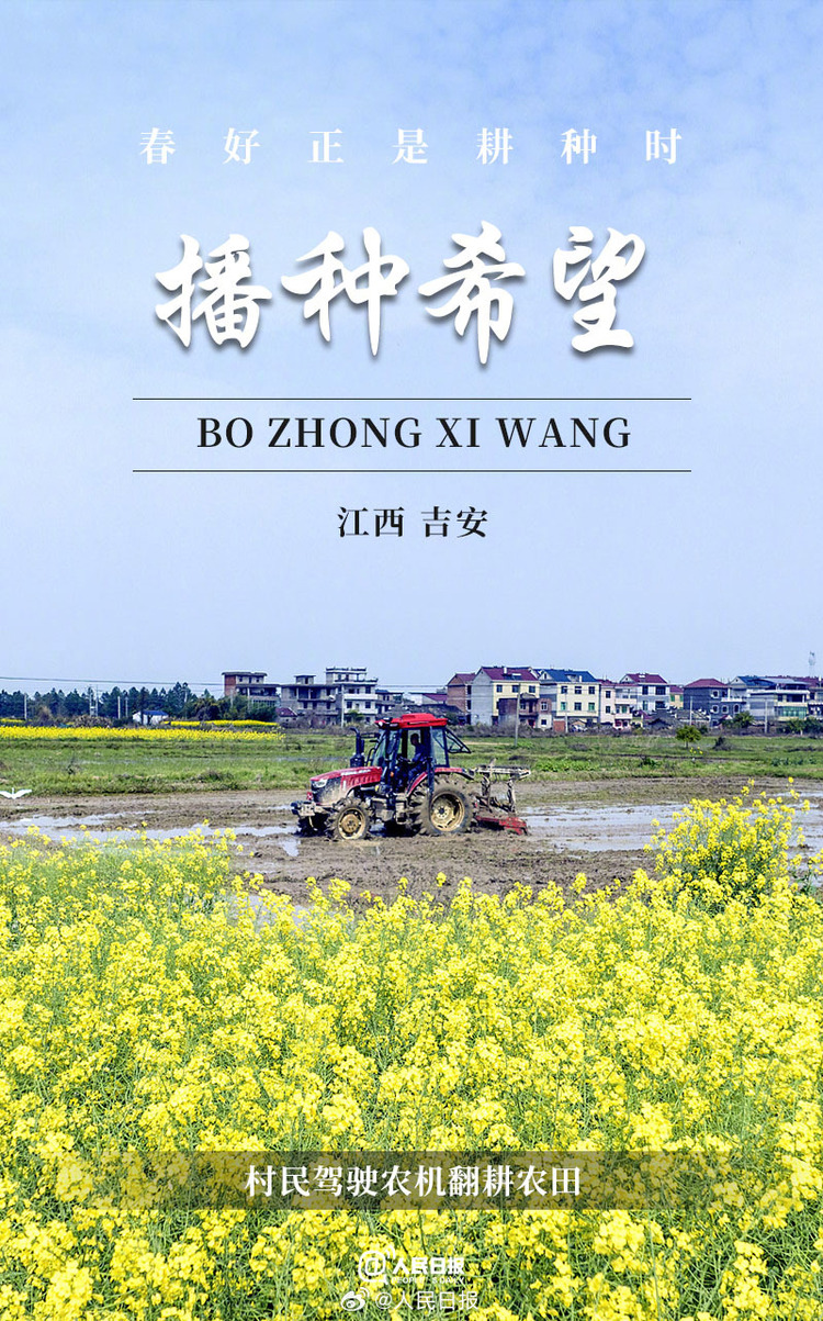 生機(jī)盎然！用課本封面打開春耕畫卷