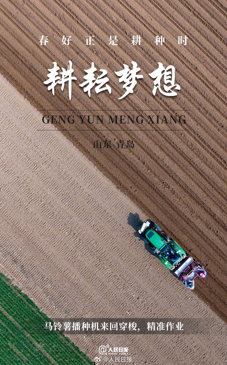 生機(jī)盎然！用課本封面打開春耕畫卷