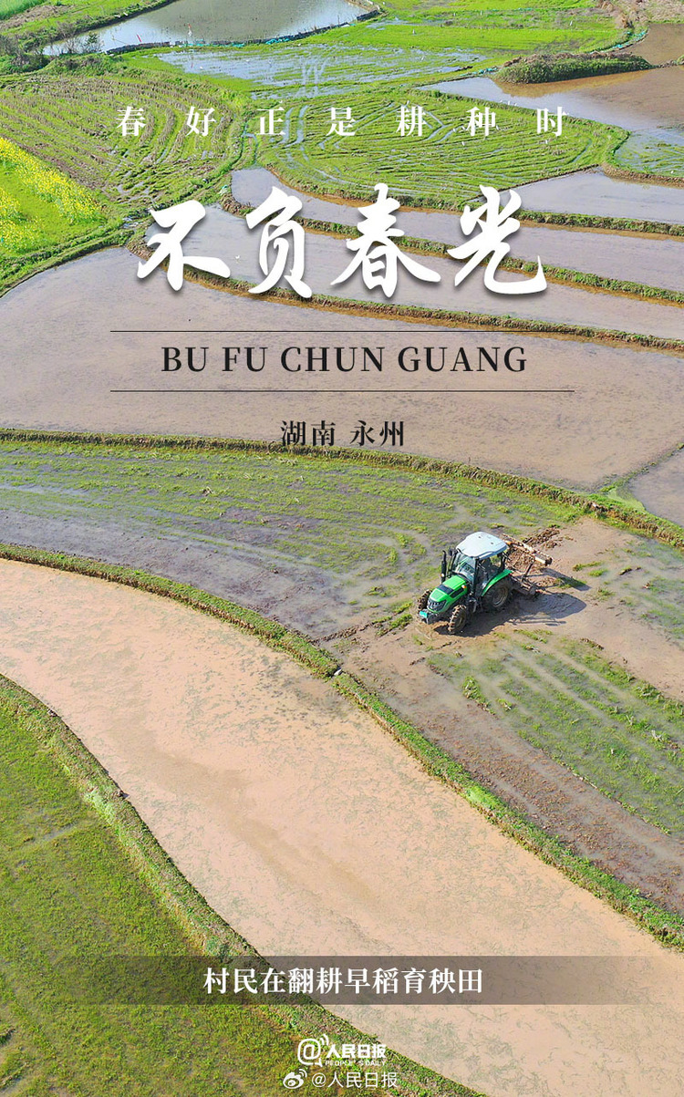 生機(jī)盎然！用課本封面打開春耕畫卷