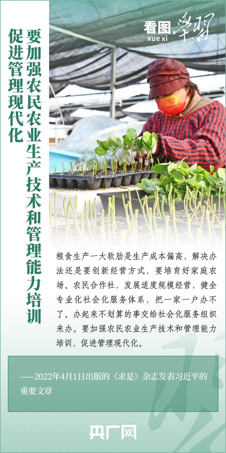 看圖學(xué)習(xí)丨推廣良田、良種、良法、良機(jī) 給農(nóng)業(yè)現(xiàn)代化插上科技的翅膀