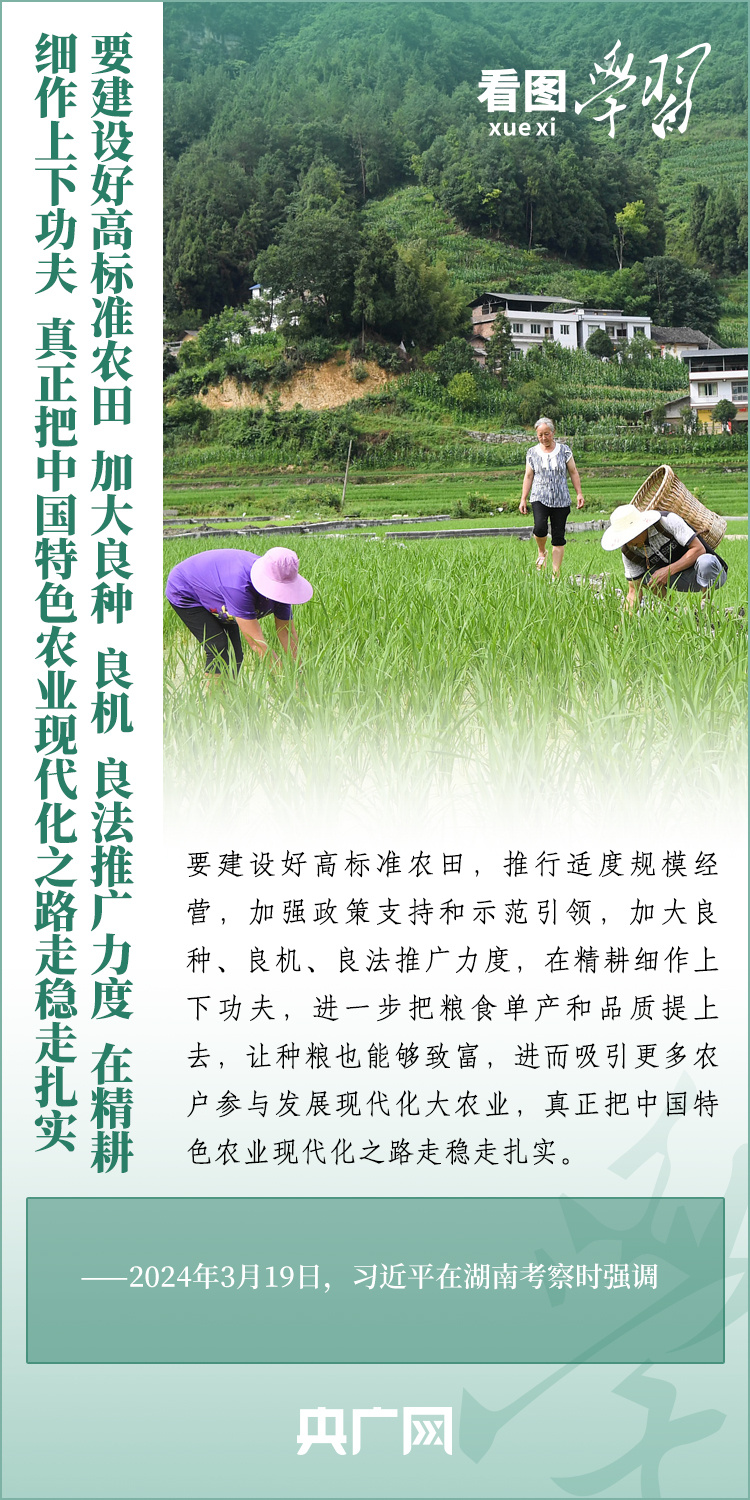 看圖學(xué)習(xí)丨推廣良田、良種、良法、良機(jī) 給農(nóng)業(yè)現(xiàn)代化插上科技的翅膀